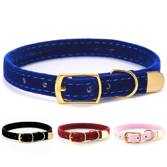 Pet supplies cat collar pets care