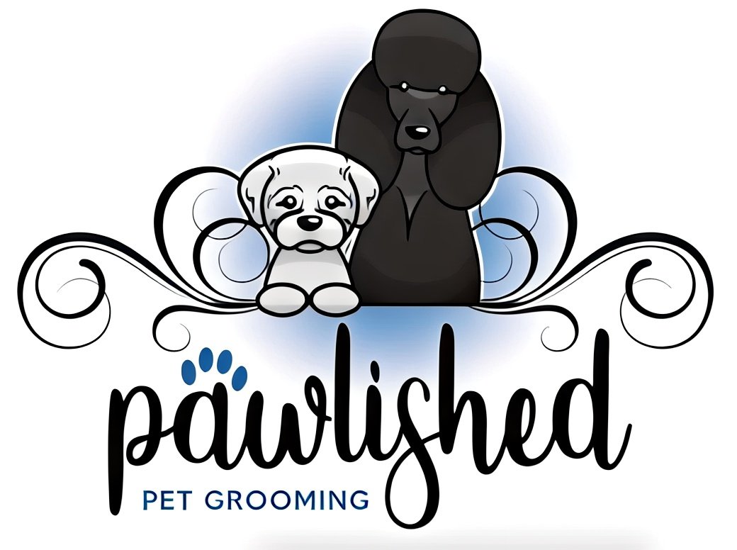Understanding pawlished pet grooming key insights, services, and hiring tips